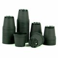 Curtilage 2 in. Plastic Pot, Black, 50PK CU2527881